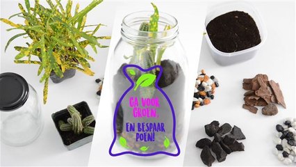 Ga voor Groen en bespaar poen: DIY terrarium