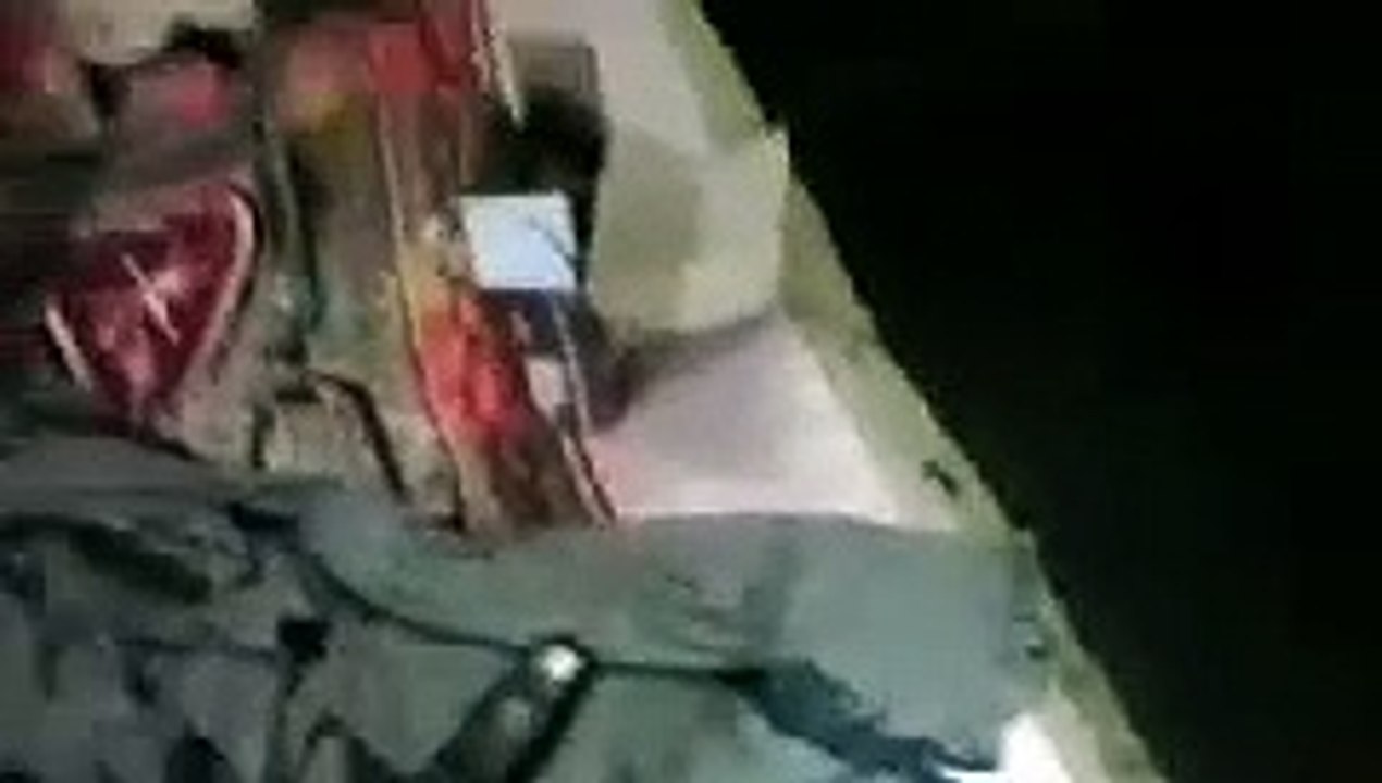 Cats playing in box - living in a cardboard box!