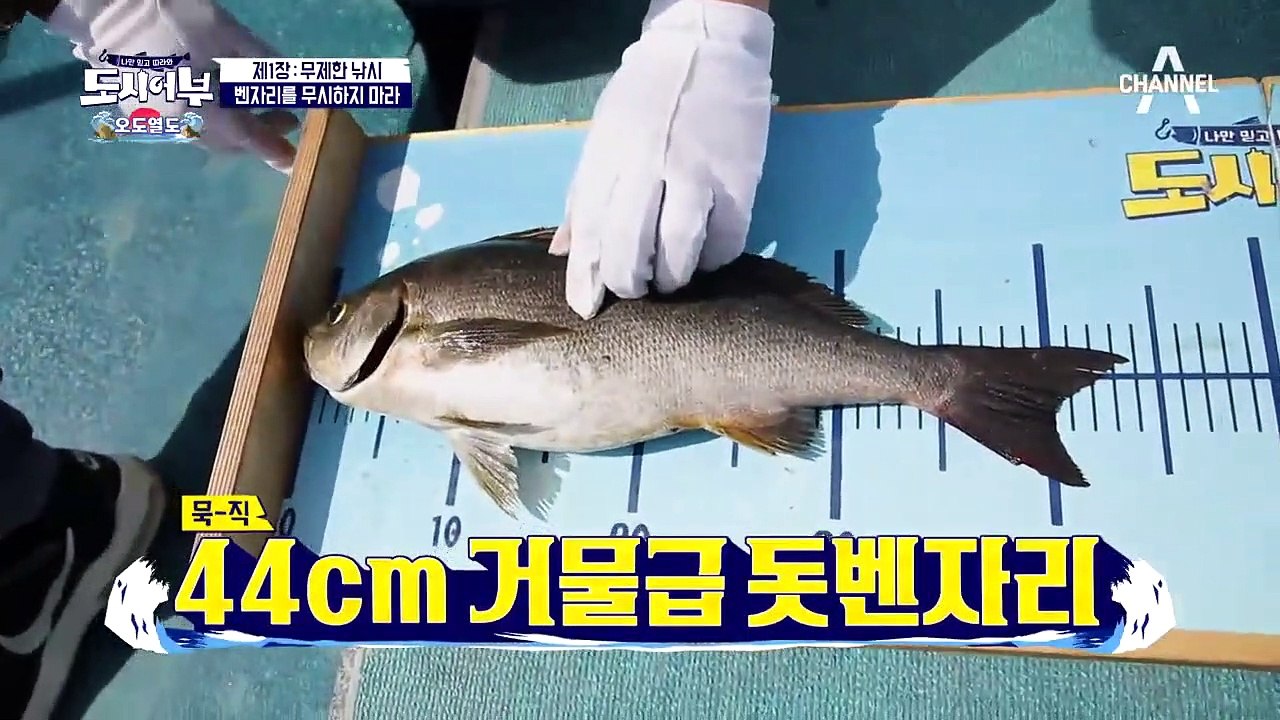 넣으면 나오는 '혼돈의 카오스' 도시어부 최약체 재환-경규의 더블 히트!