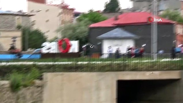 Yaban ördeği yavrularıyla Kars Çayı’nda görüntülendi