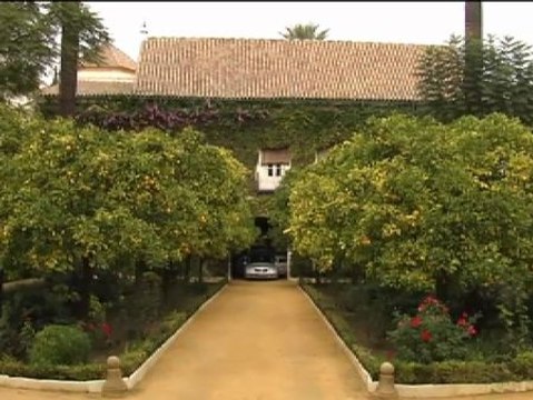 La familia y el pueblo Sevilla despiden a la Duquesa de Alba