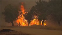California continúa luchando contra el peor incendio de su historia