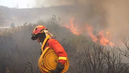 El incendio de Valencia se complica por un cambio brusco en la dirección del viento