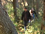 Tres mil bosques españoles podrían formar parte de una red para mejorar la salud paseando