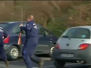 Un tigre suelto cerca de Paris.