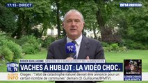 Vaches à hublot: pour le ministre de l'Agriculture, 