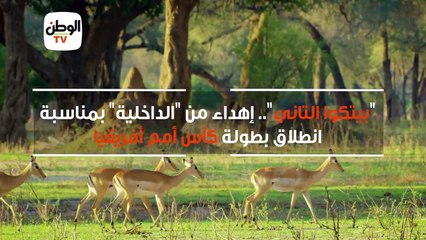 "بيتكوا التاني".. إهداء من "الداخلية" بمناسبة انطلاق بطولة كأس أمم أفريقيا