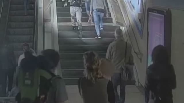 Los Mossos desarticulan una banda de carteristas