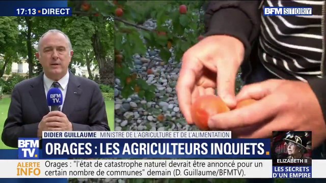 Orages: Didier Guillaume demande la mise en place d'une assurance qui soit généralisée pour les agriculteurs