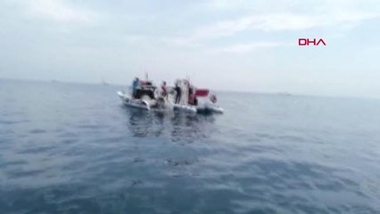 TEKİRDAĞ Marmara Denizi'nde kaçak deniz patlıcanı operasyonu