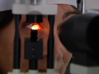 Tres de cada 4 ópticos encuentran trabajo al año de terminar de estudiar