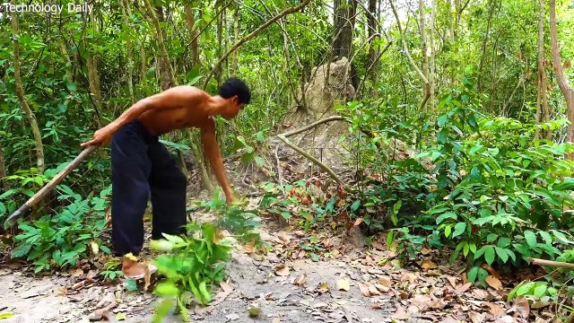 Dig Unused Ant Hill To Build Underground Fish Pond And Raising Hundred Of Red Fish