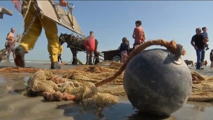 La pesca de camarones arranca en menos de un mes