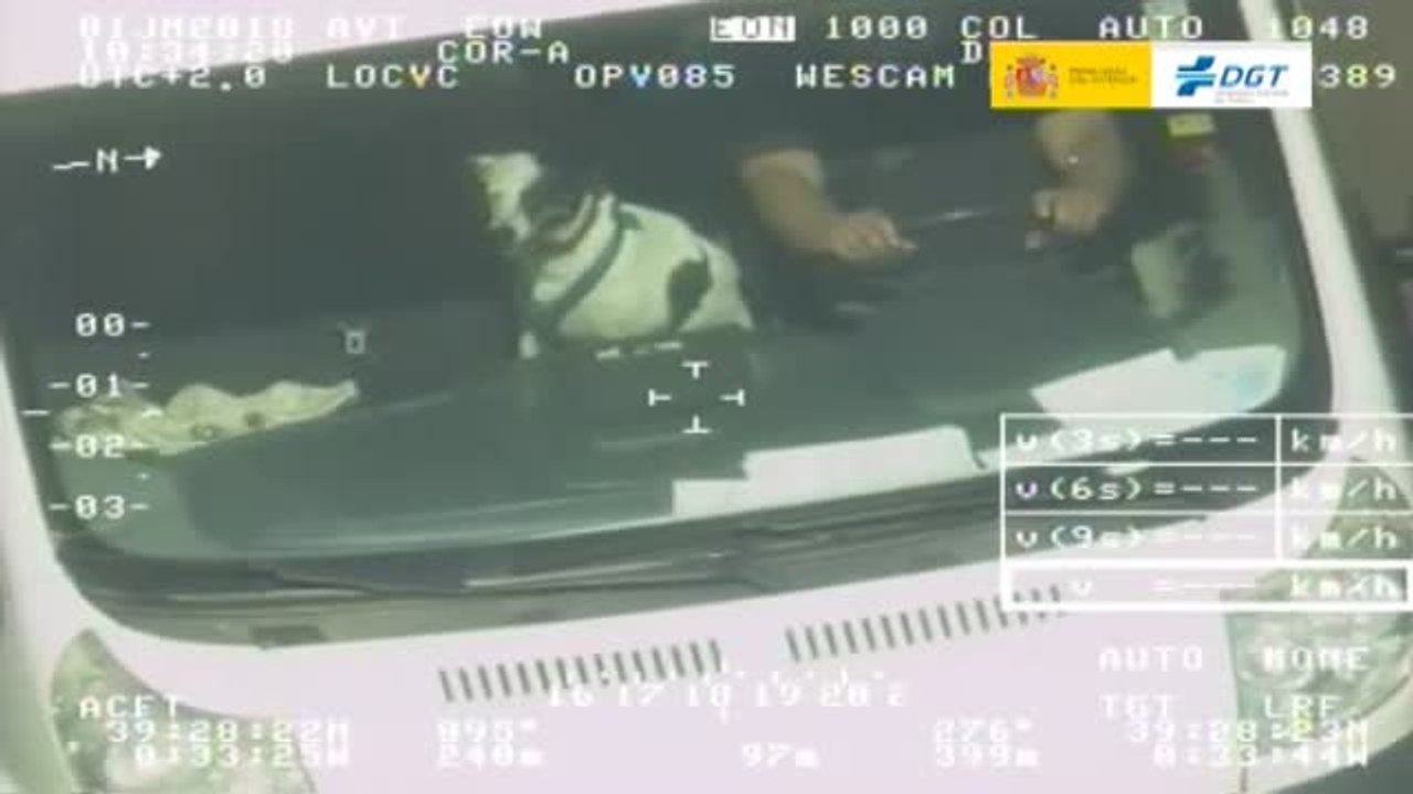 Más de 3000 conductores de furgonetas multados en cinco días