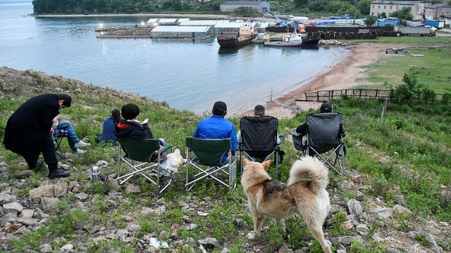 Китовая тюрьма скоро опустеет