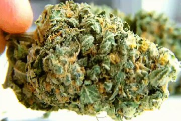 MVGEN: King Thayo ft Metric Man  :  B.S.K