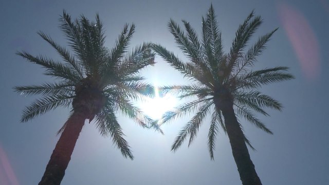 Ya está aquí la primera ola de calor de este verano