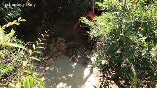Rescue Fish From Dried Up Pond And Build Backyard Fish Pond