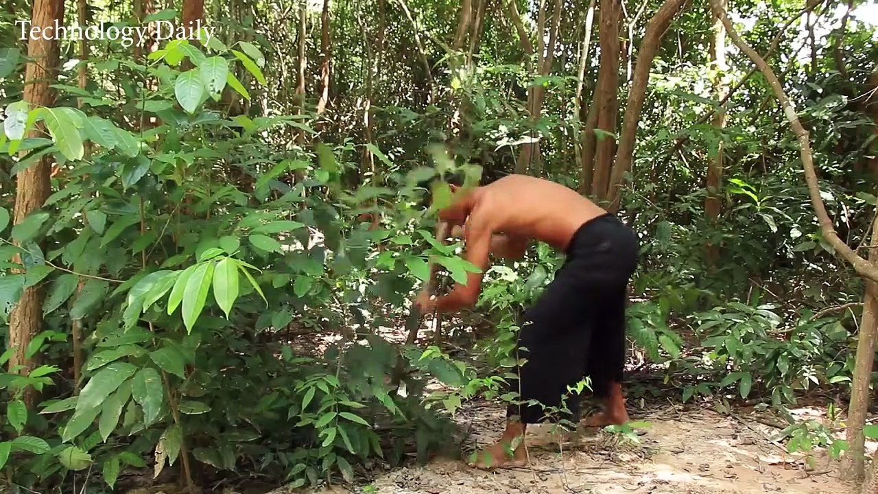 Rescue Quail Bird And Build Beautiful Mini Bamboo House In Forest