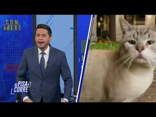 De Pisa y Corre | Programa completo del 19 de junio de 2019