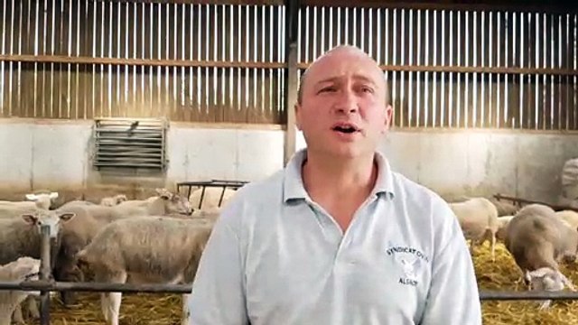 DNA - 3 Questions à Stéphane Huchot, éleveur de moutons à Preuschdorf et président du syndicat ovin du Bas-Rhin