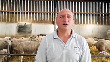 DNA - 3 Questions à Stéphane Huchot, éleveur de moutons à Preuschdorf et président du syndicat ovin du Bas-Rhin