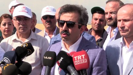 Video herunterladen: Buğdayda 1 buçuk milyon ton rekolte beklentisi - DİYARBAKIR