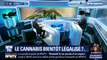 Le cannabis bientôt légalisé en France ?