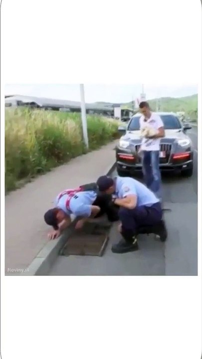 Ces pompiers sauvent des canetons de la noyade. Regardez cet acte héroïque !!
