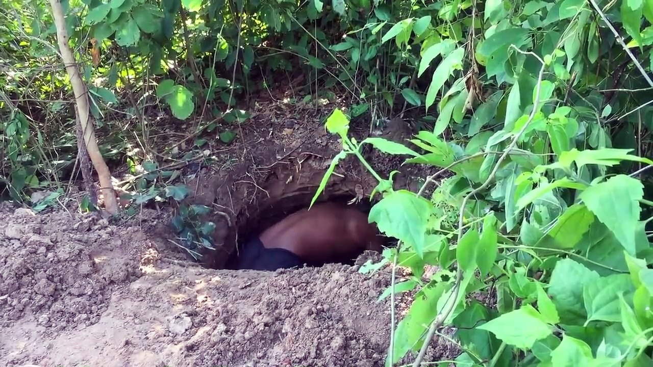 Build underground hidden house in the forest