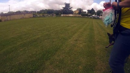 TRAVAIL EN CERCLE avec une malinoise de 6 mois