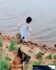 Cette petite fille a une chienne très protectrice. Regardez !