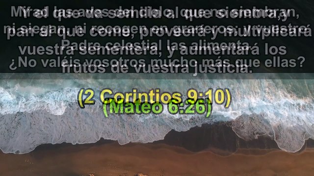 Versículos Bíblicos sobre la Cosecha