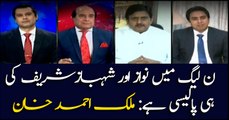 Nawaz and Shebaz Sharif's policy being acted upon in N-league: Malik Ahmed Khan