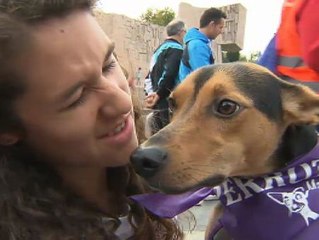 Perrotón, la carrera contra el maltrato animal