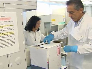 El instituto Carlos III es el único que hace los test del ébola