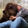 Ce grand ours et cet homme sont très attachés l'un à l'autre. Trop mignon !