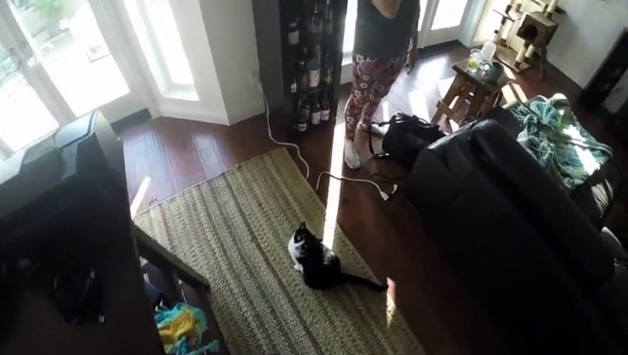 Kitty Loves Hugs
