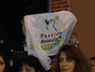 Vigilancia del PACMA en Alcorcón por el perro de la enfermera