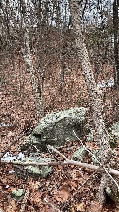 Brian Ghilliotti: Essex/Deep River, CT: Lithic Alignment System: due north/south alignment