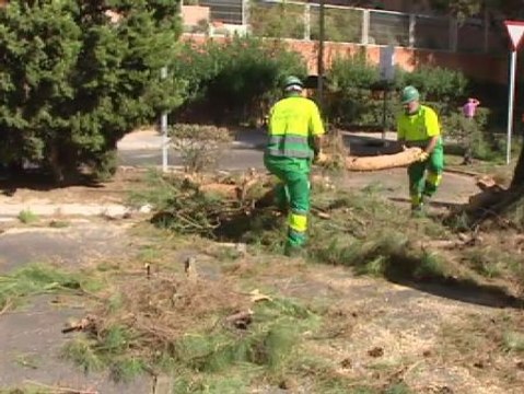 Siguen cayendo ramas y árboles enteros en Madrid