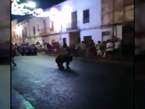 Denunciado un domador borracho por maltrato animal contra su oso en unas fiestas patronales
