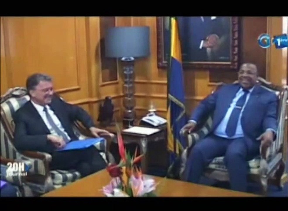 RTG - Échange entre le Premier ministre et une délégation des experts Français conduite par l’ambassadeur de la France au Gabon
