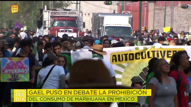 Gael García habló del amparo que obtuvo para consumir marihuana con fines recreativos.