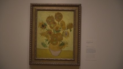 Los misterios de Van Gogh, desde lo más profundo de sus "Girasoles"