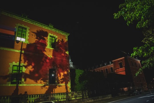 L'Avenir | Licences d’armes: le coq sanglant d’Amnesty sur le Parlement wallon