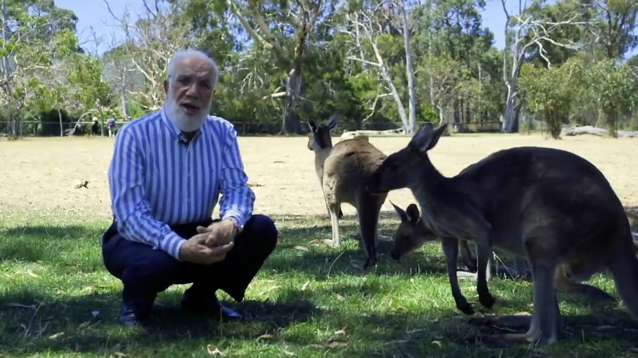 حميت ظهورهم فتركوني