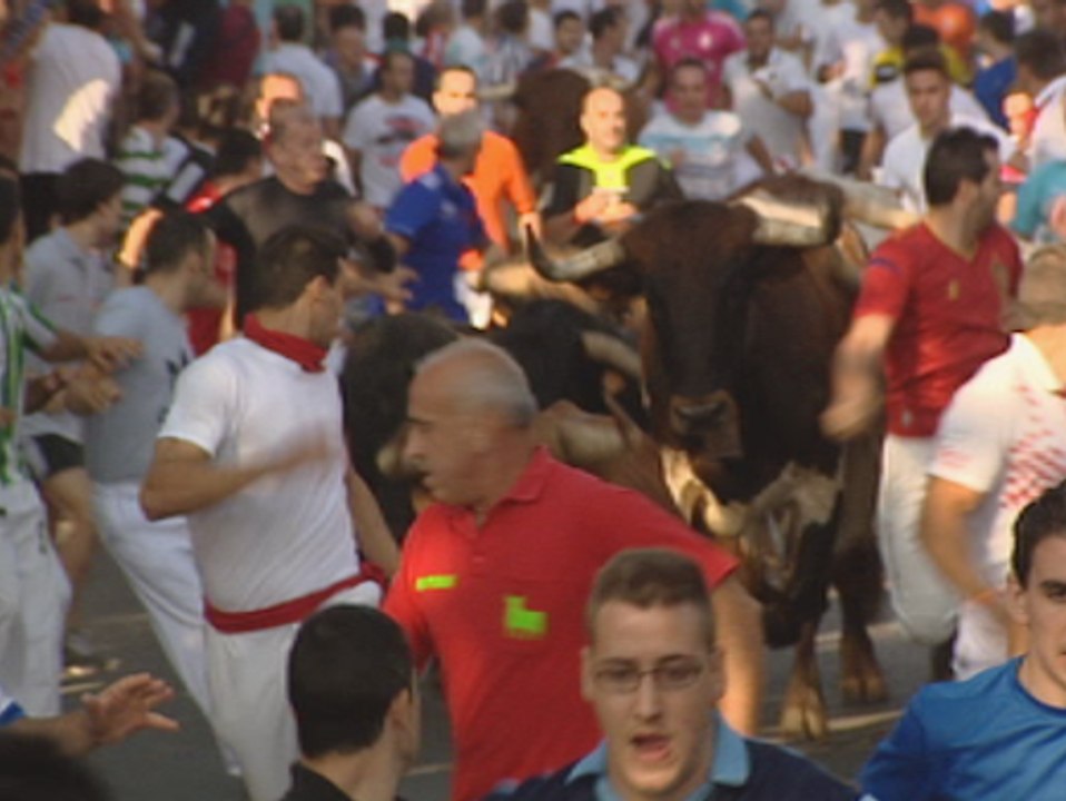Segunda jornada de encierros en Alcalá de Henares