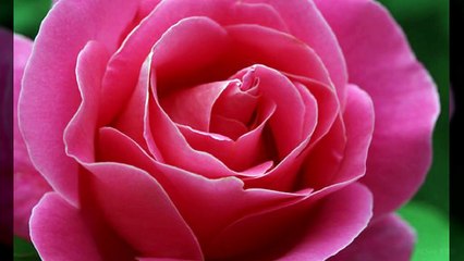 강남더킹O1O≡65O5≡O5O7강남풀싸롱쭉쭉빵빵NF초이스강남풀사롱역삼동풀사롱역삼룸싸롱강남야구장선릉풀사롱강남두바이강남화수분강남빅맨강남룸싸롱대박초이스강남풀싸롱미러초이스강남접대바이어접대외국인접대중국인접대장소압구정풀싸롱선릉역룸사롱대치동풀싸롱풀사롱53645364