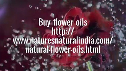 Most Fruitful Natural Flower Oils